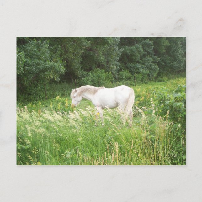 Postal Belleza (Anverso)