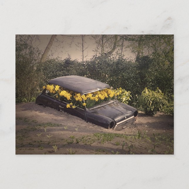 Postal Belleza abandonada (Anverso)