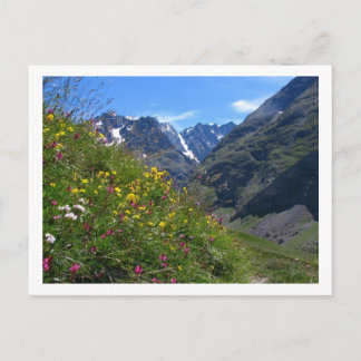 Postal Belleza alpina