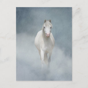 Postal belleza blanca