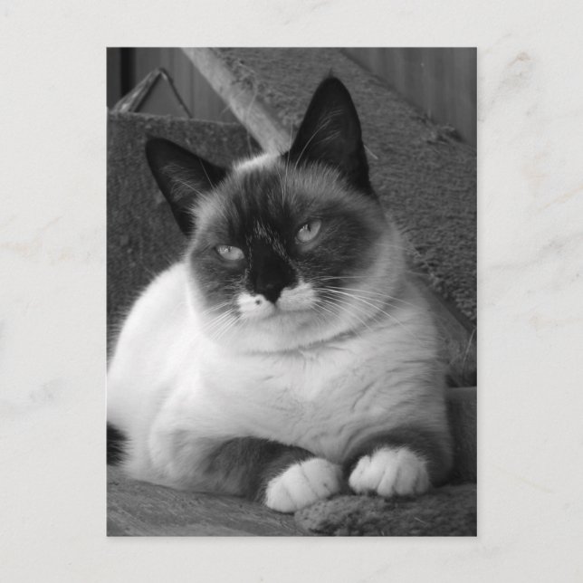 Postal Belleza (blanco y negro) (Anverso)