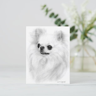 Postal Belleza de Chihuahua pintada por arte a mano