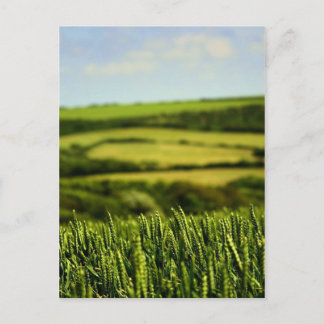 Postal Belleza de la vida