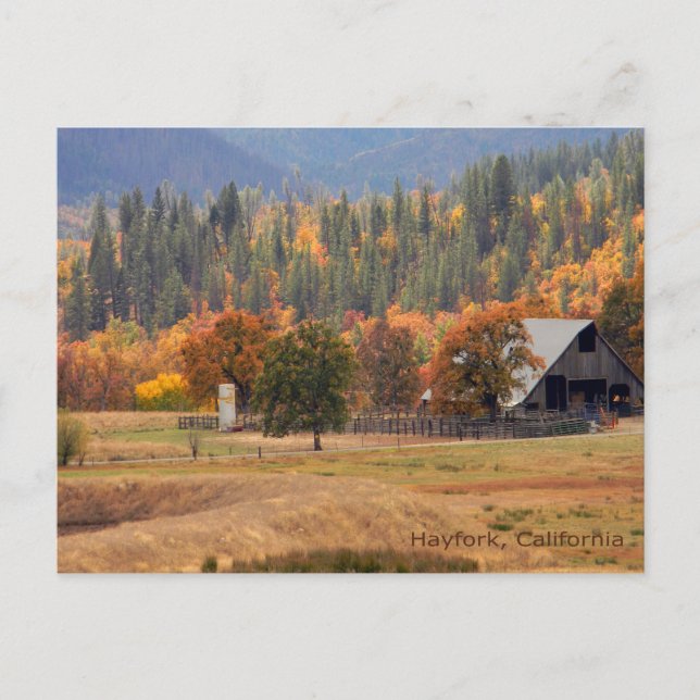 Postal Belleza de otoño... (Anverso)