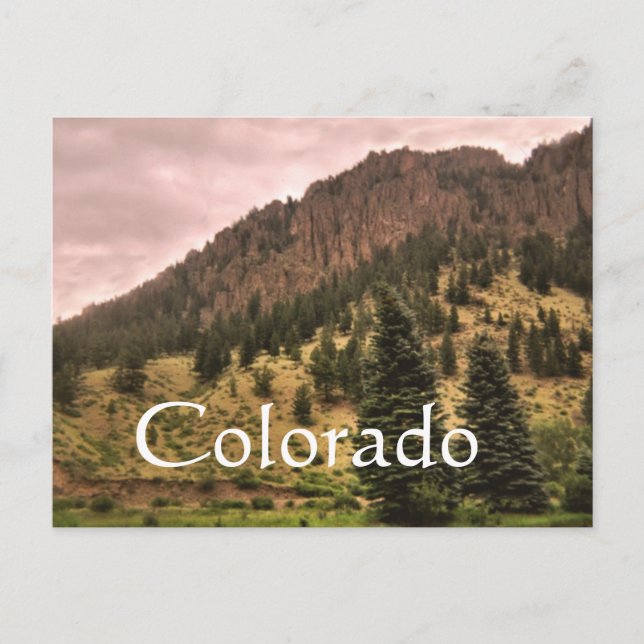 Postal belleza de pinos, Colorado (Anverso)