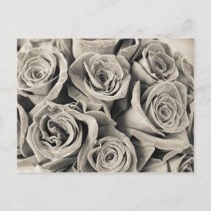 Postal Belleza de terciopelo vintage