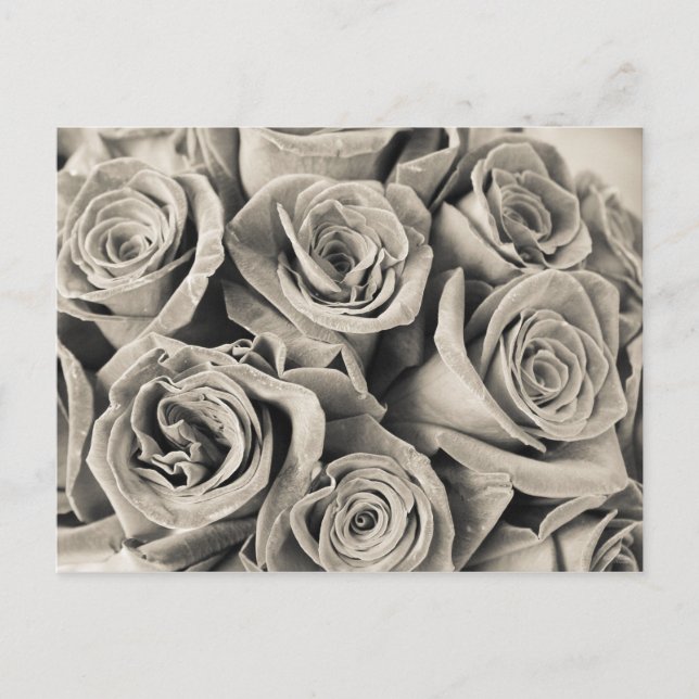 Postal Belleza de terciopelo vintage (Anverso)