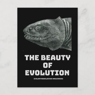 Postal Belleza de tiburón en evolución