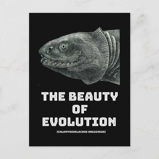 Postal Belleza de tiburón en evolución (Anverso)