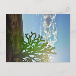 Postal Belleza del desierto