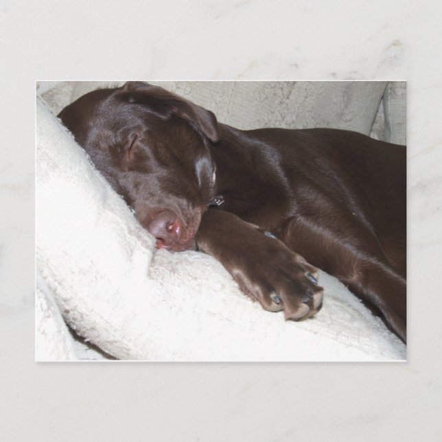 Postal Belleza durmiente (Anverso)