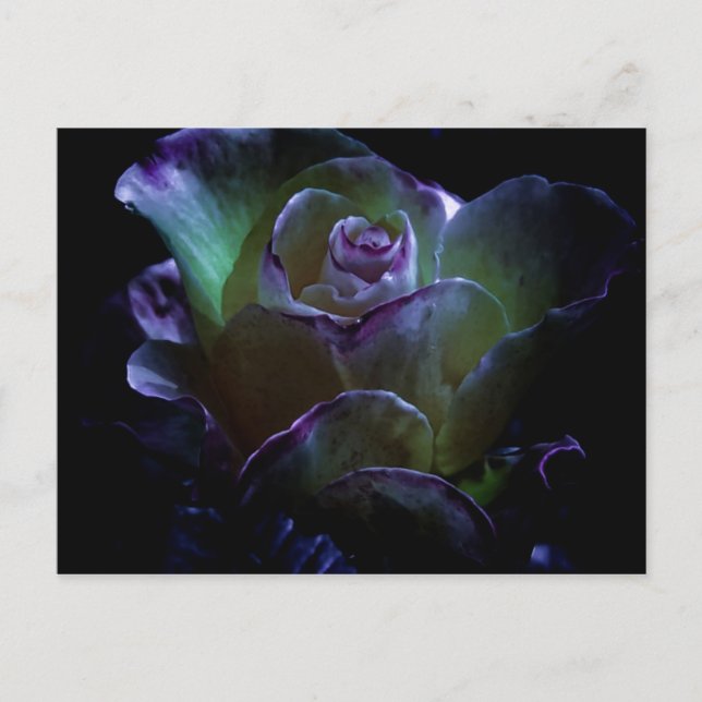 Postal Belleza en flor (Anverso)