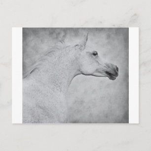 Postal Belleza eterna