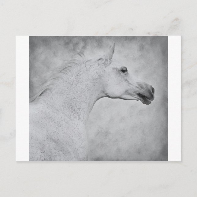 Postal Belleza eterna (Anverso)