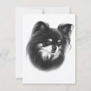 Postal Belleza: expresión de Chihuahua pintada a mano
