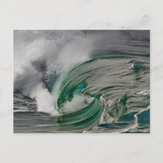 Postal Belleza natural