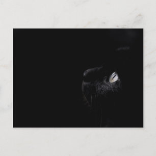 Postal Belleza negra - Postcard