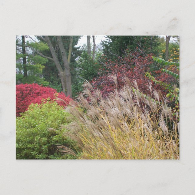 Postal Belleza otoñal en Ohio (Anverso)