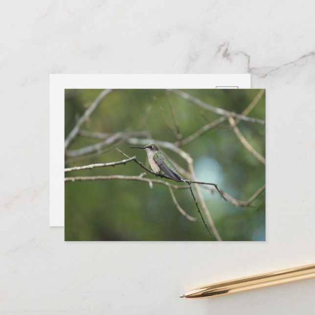 Postal Belleza sutil (Anverso/Reverso In Situ)