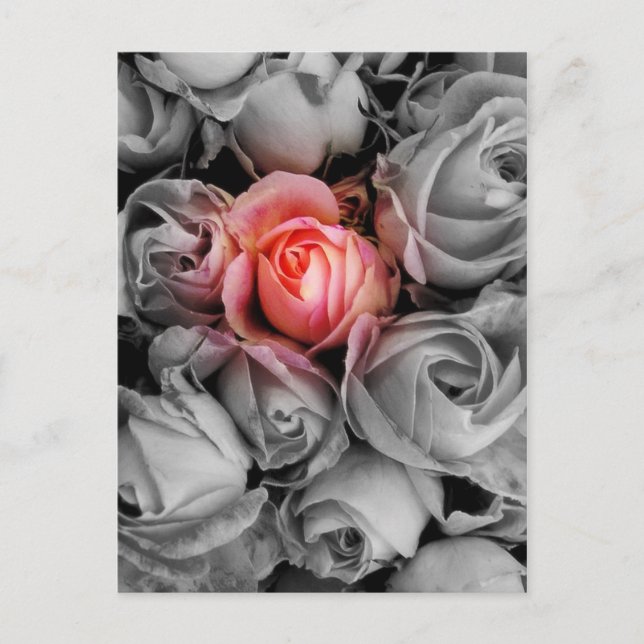 Postal Belleza única (Anverso)