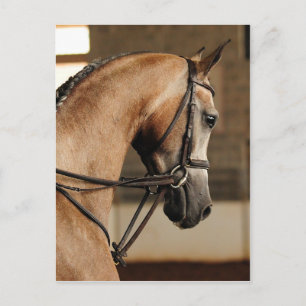 Postal Belleza única