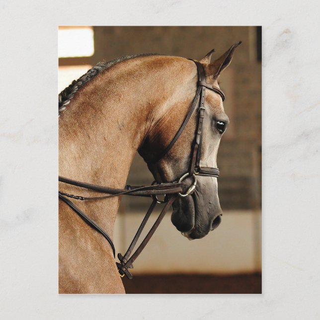 Postal Belleza única (Anverso)