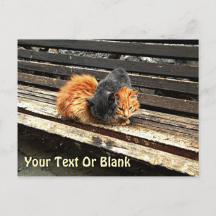 Postal Bellezas de la siesta