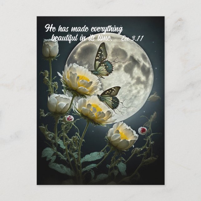 Postal Bellísima y maravillosamente hecha (Anverso)