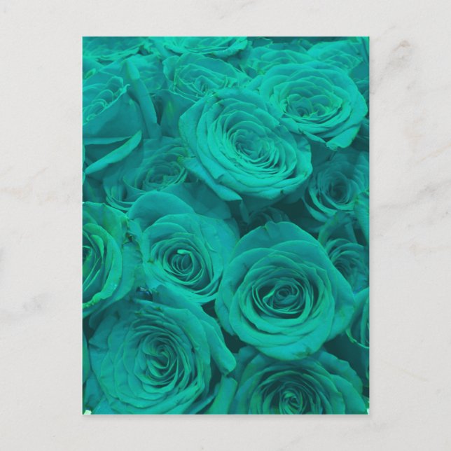 Postal Bellísimas rosas verdes turquesa flores turquesa  (Anverso)