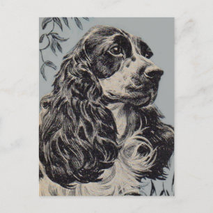 Postal bello cocker spaniel