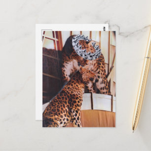 Postal Bello Collage de Grandes Felinos Reales