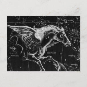 Postal bello y hermoso caballo de alas voladoras