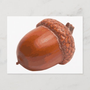 Postal bellota.png