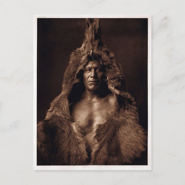 Postal Belly de los osos - Vintage (Anverso)