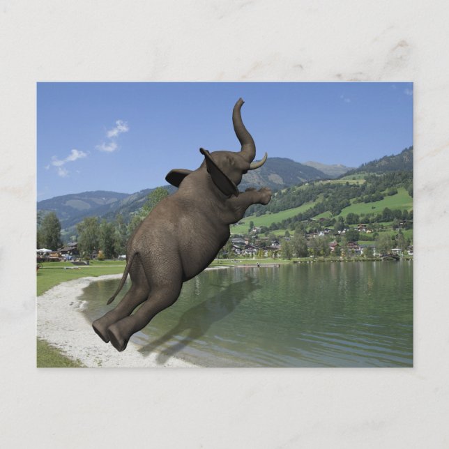 Postal Belly Flop Elephant (Anverso)
