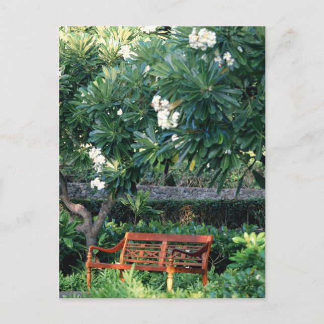 Postal Bench (Anverso)