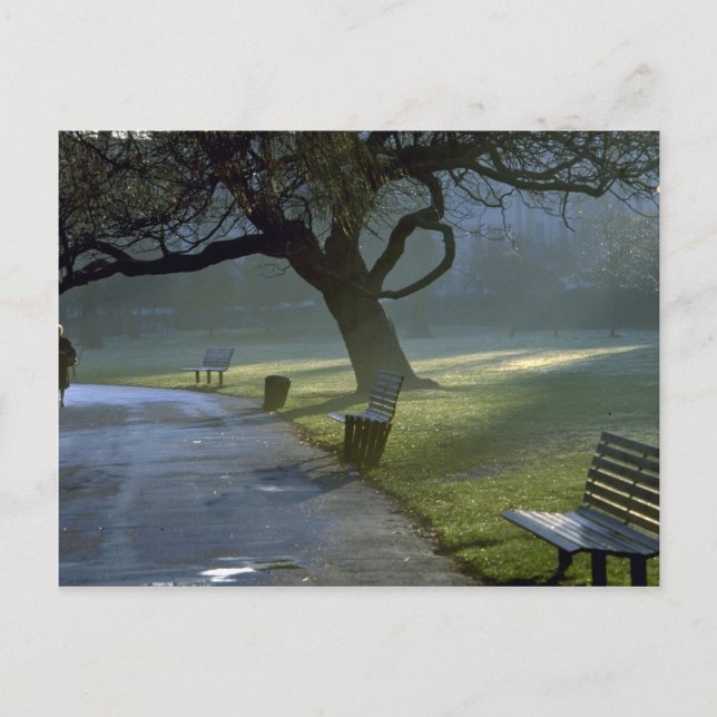 Postal Bench, tree, Regents Park, Londres, Inglaterra (Anverso)