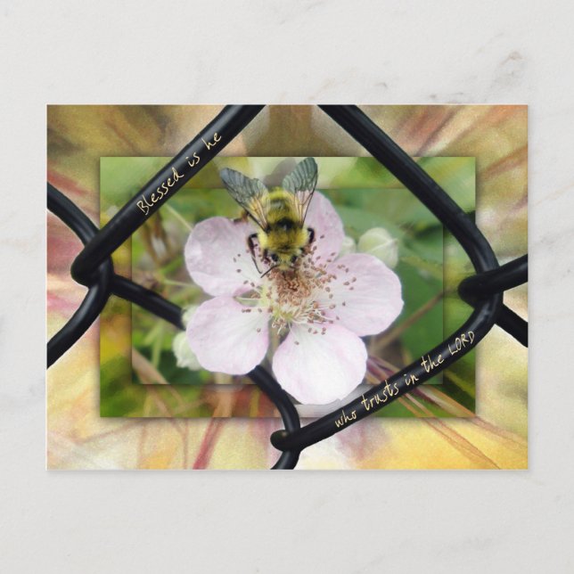 Postal Bendito es el que confía en el SEÑOR (Anverso)