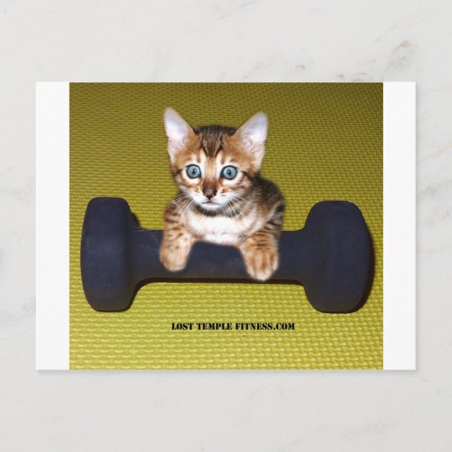 Postal Bental Kitten con amarillo dumbombante (Anverso)