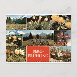 Postal Berg Frühling Vintage Flores Alpinas Multivista