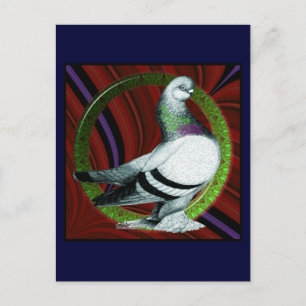 Postal Berliner Pigeon Circle