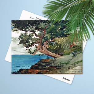 Postal Bermuda Ocean Landscape Winslow Homero