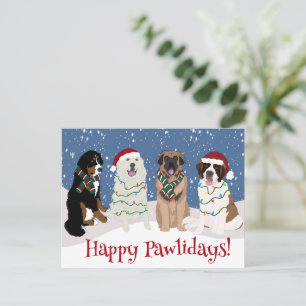 Postal Bernese Leonberger Great Pyrenees