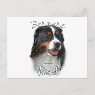 Postal Bernese Mountain Dog Dad 2