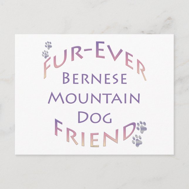 Postal Bernese Mountain Dog Furever (Anverso)