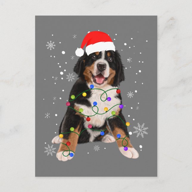 Postal Bernese Mountain Dog ilumina a Navidades coincidie (Anverso)
