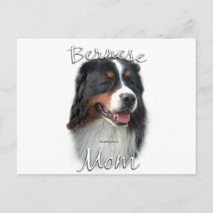 Postal Bernese Mountain Dog Mom 2