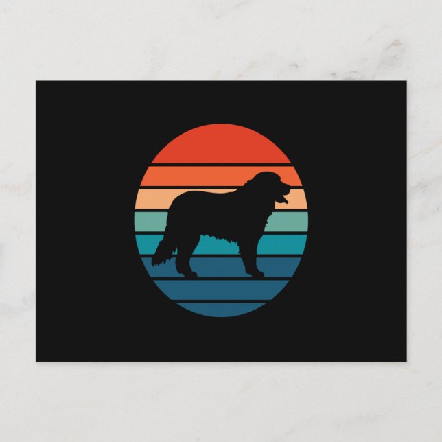 Postal Bernese Mountain Dog Vintage Retro (Anverso)
