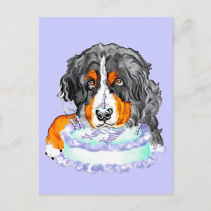 Postal Bernese Mt Dog Cake Face Cumpleaños