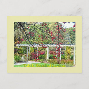 POSTAL BERRÍAS ROJAS Y JARDINES BOTÁNICOS DE PERGOLA TOLE